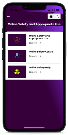 PL online safety and appropriate use